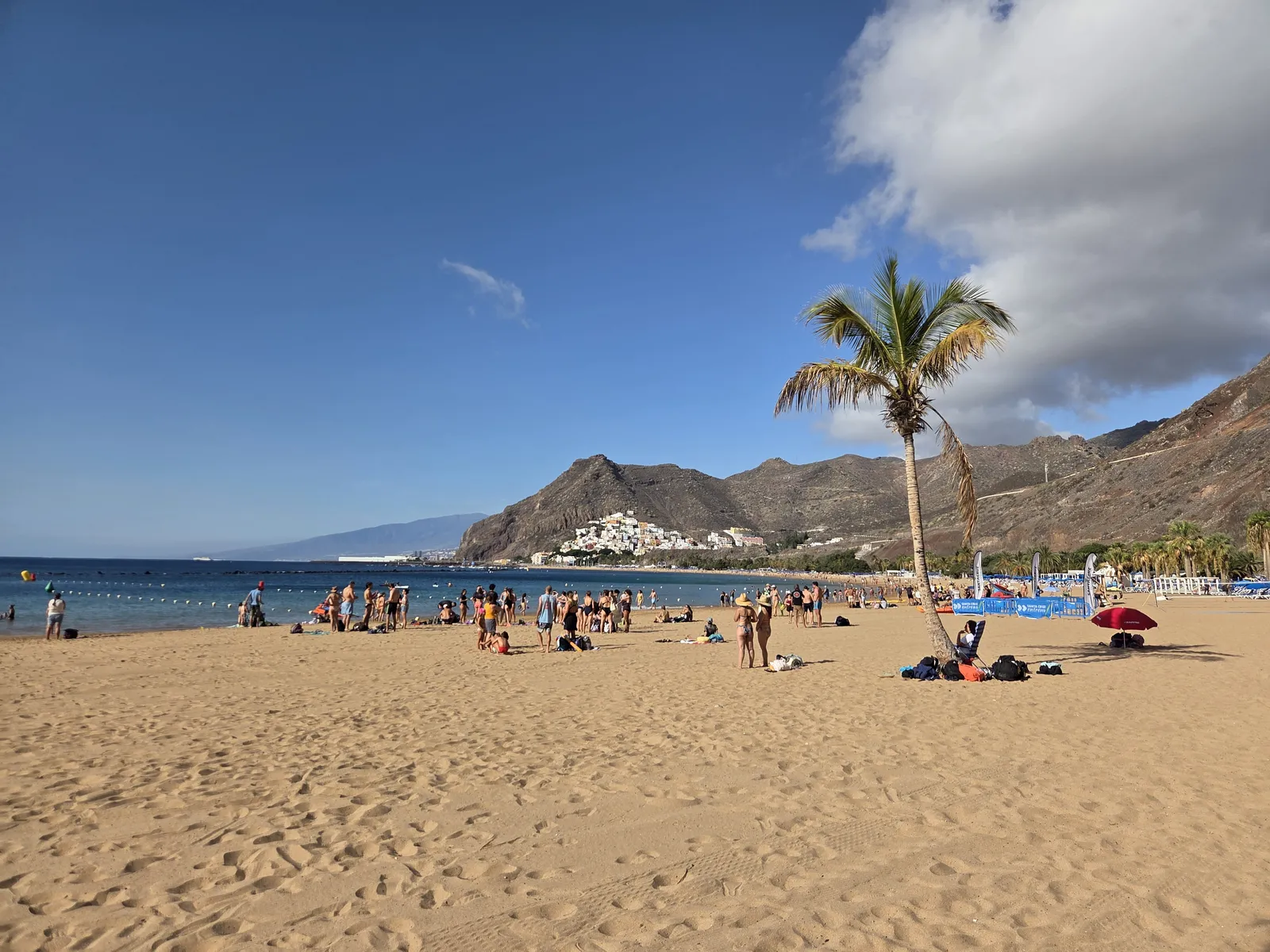 Golden sand, beachgoers and a palm tree at Las Teresitas, with San Andrés beyond