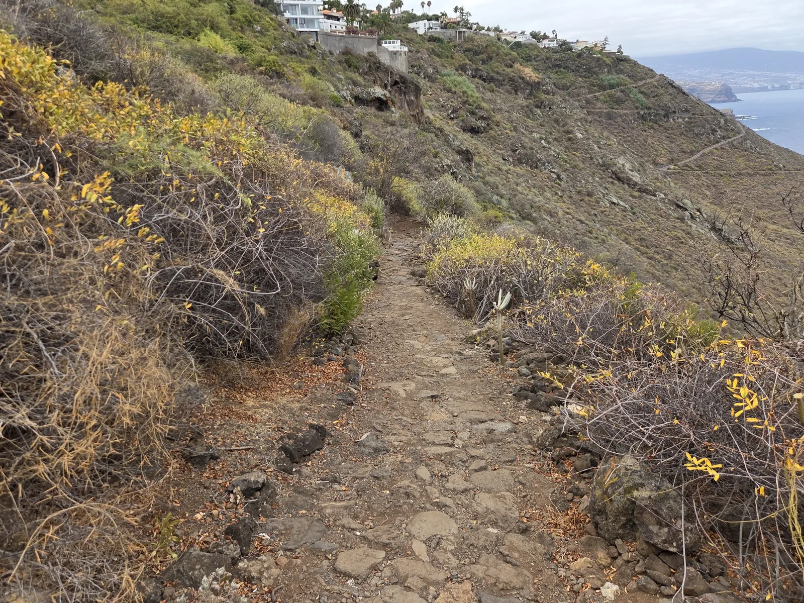Uneven stone footpath crossing a coastal hillside with shrubs and houses above