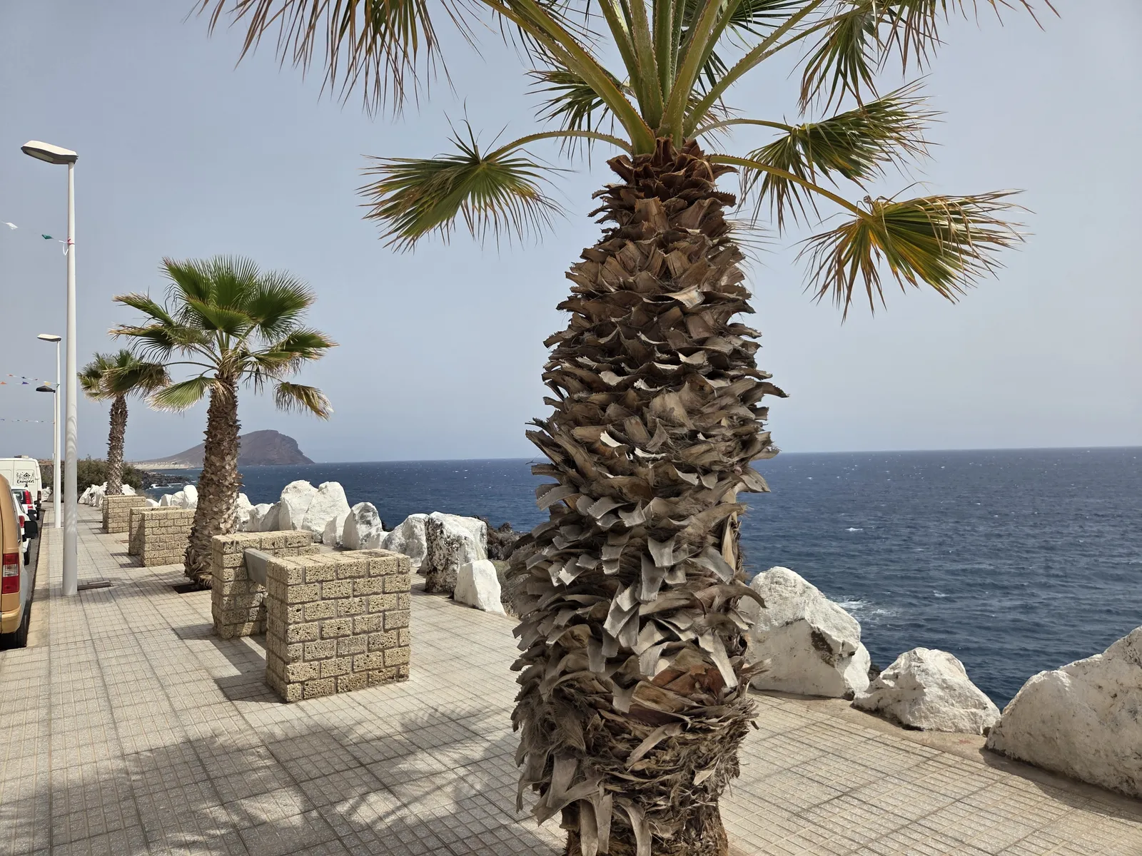 Palm-lined pavement beside pale shoreline rocks and the Atlantic in Los Abrigos