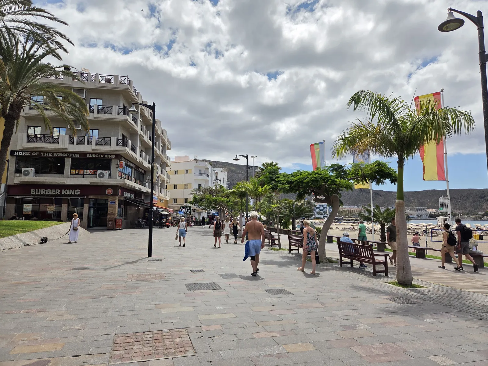 Palm-lined pedestrian promenade with benches and shops beside Los Cristianos beach