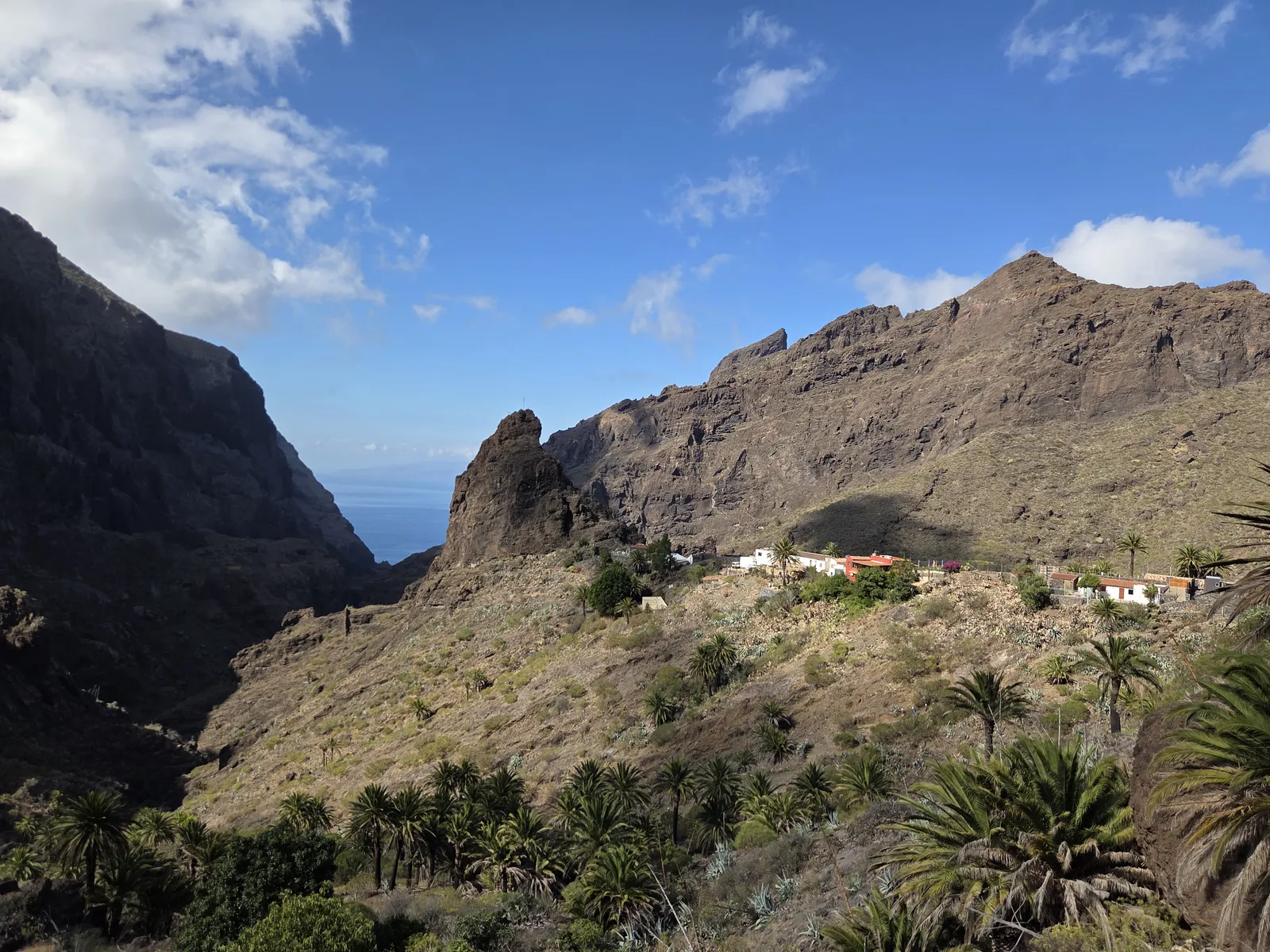 Scattered houses and palm trees above Masca’s steep ravine, with the sea visible between rocky slopes