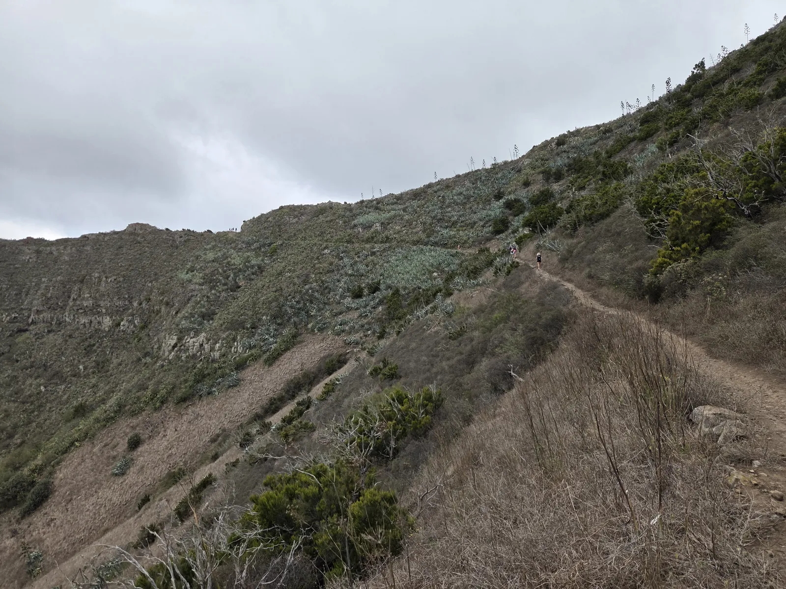 Narrow mountain footpath crossing a steep scrub-covered hillside in the Masca area
