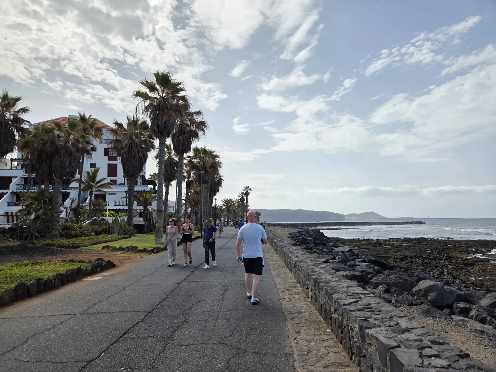 Palm-lined seafront promenade beside volcanic rocks in Playa de las Américas