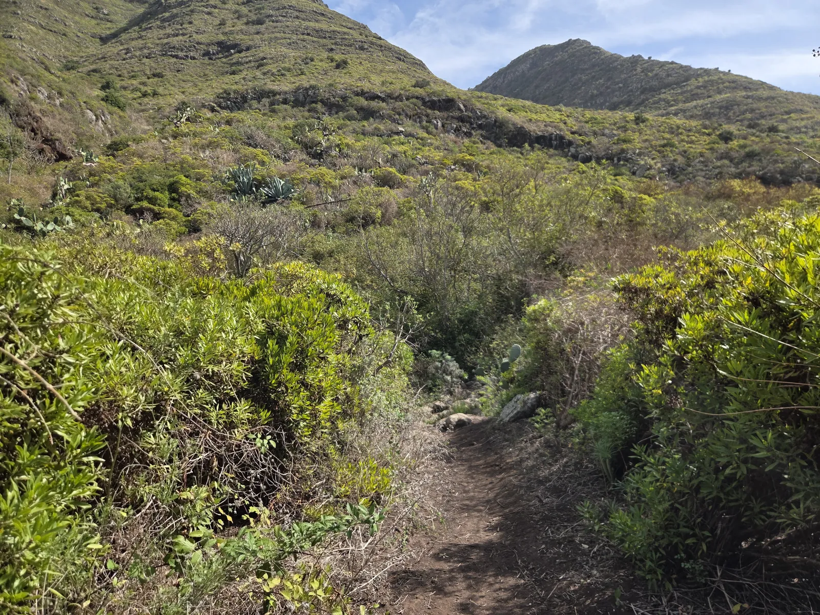 Narrow earth footpath winding between green shrubs beneath steep mountain slopes