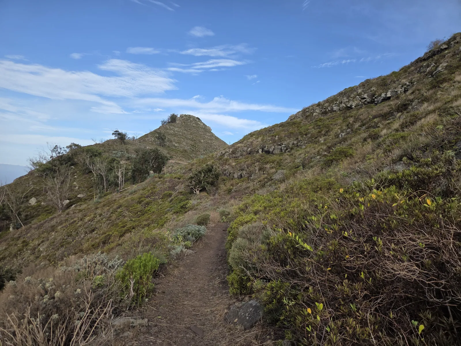 Narrow dirt footpath crossing an open scrub-covered hillside near Tegueste